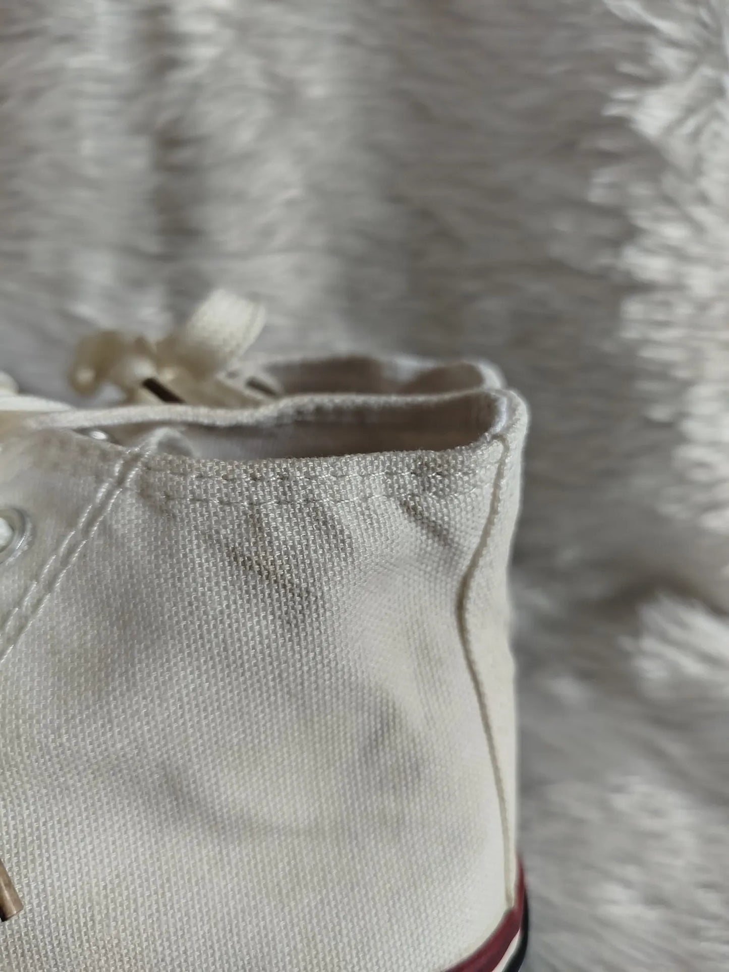 High Neck Canvas Sneaker
