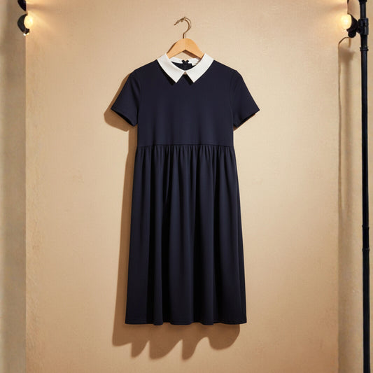 Contrast Peter Pan Collar Dress